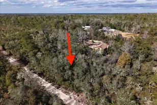 NE 233rd Ln, Fort Mc Coy, FL 32134 - Photo 1