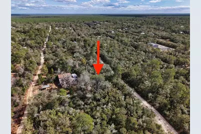 Ne 233rd Lane, Fort Mc Coy, FL 32134 - Photo 5