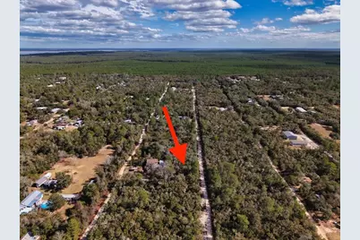 Ne 233rd Lane, Fort Mc Coy, FL 32134 - Photo 13