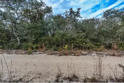 Ne 233rd Lane, Fort Mc Coy, FL 32134 - Photo 17