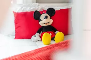 4828 Dedication St, Kissimmee, FL 34746 - Photo 79