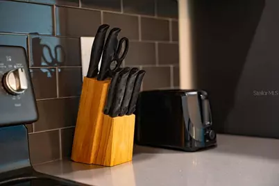 4828 Dedication Street, Kissimmee, FL 34746 - Photo 77