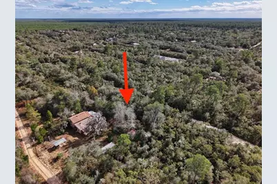 Ne 233rd Lane, Fort Mc Coy, FL 32134 - Photo 7