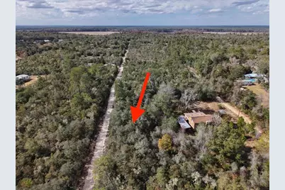 Ne 233rd Lane, Fort Mc Coy, FL 32134 - Photo 9