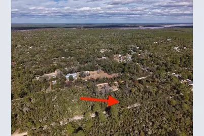 Ne 233rd Lane, Fort Mc Coy, FL 32134 - Photo 11