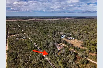 Ne 233rd Lane, Fort Mc Coy, FL 32134 - Photo 17