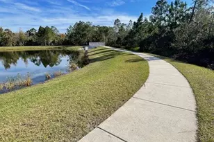 10866 Sunset Ridge Ln, Orlando, FL 32832 - Photo 69