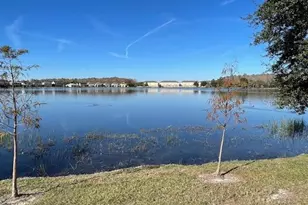 10866 Sunset Ridge Ln, Orlando, FL 32832 - Photo 55