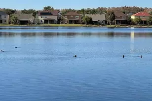 10866 Sunset Ridge Ln, Orlando, FL 32832 - Photo 57