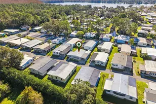 259 Pinewood Dr, Eustis, FL 32726 - Photo 31