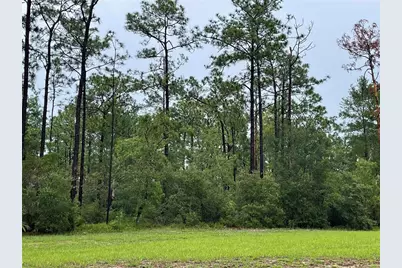 Virginia (Paper) Avenue, Deltona, FL 32738 - Photo 5