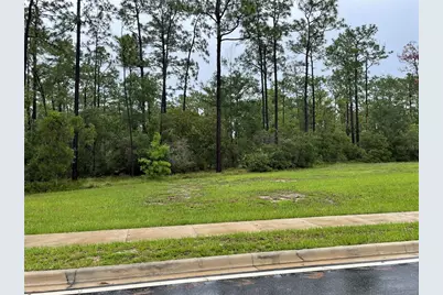 Virginia (Paper) Avenue, Deltona, FL 32738 - Photo 3