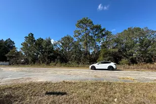 9066 N Burmany Way, Citrus Springs, FL 34433 - Photo 1