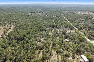 6471 N Khyber Ave, Dunnellon, FL 34433 - Photo 47