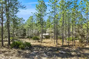 6471 N Khyber Ave, Dunnellon, FL 34433 - Photo 37