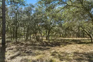 6471 N Khyber Ave, Dunnellon, FL 34433 - Photo 33