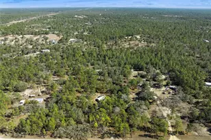 6471 N Khyber Ave, Dunnellon, FL 34433 - Photo 51