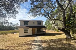 42111 Chinaberry Ct, Eustis, FL 32736 - Photo 3