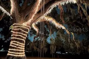 12122 Grand Oak Ln, Oxford, FL 34484 - Photo 85