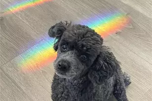 12122 Grand Oak Ln, Oxford, FL 34484 - Photo 87