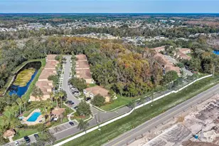 4602 Winding River Way, Land O Lakes, FL 34639 - Photo 59