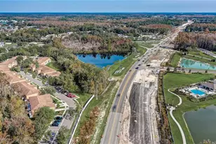 4602 Winding River Way, Land O Lakes, FL 34639 - Photo 61