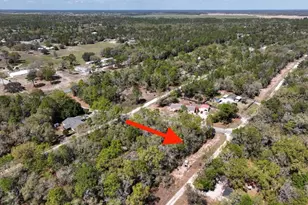 NE 154 Terrace, Williston, FL 32696 - Photo 1