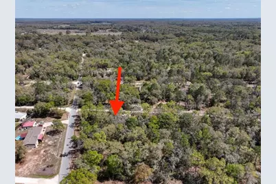 Ne 154 Terrace, Williston, FL 32696 - Photo 11