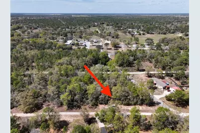 Ne 154 Terrace, Williston, FL 32696 - Photo 3