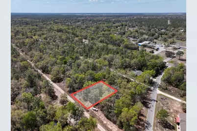 Ne 154 Terrace, Williston, FL 32696 - Photo 5