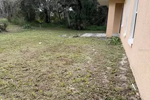 146 Redwing Ct, Kissimmee, FL 34759 - Photo 29