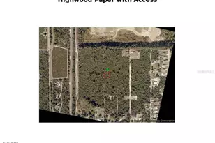 Highwood (Paper) Ave, Orange City, FL 32763 - Photo 3