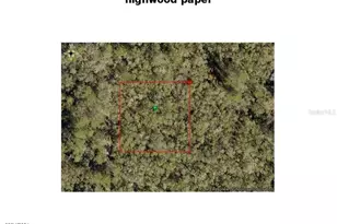 Highwood (Paper) Ave, Orange City, FL 32763 - Photo 1