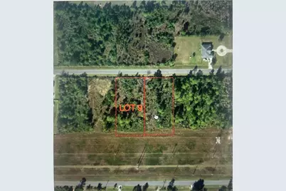 Nettleton Street, Orlando, FL 32833 - Photo 1