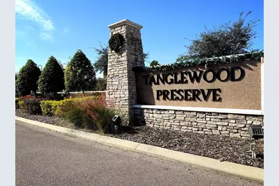 389 Tanglewood Drive, Davenport, FL 33896 - Photo 49