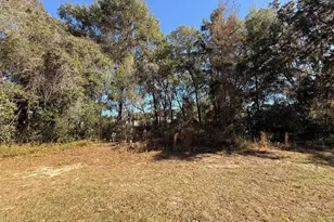 Southwest 43 Ave, Ocala, FL 34473 - Photo 3