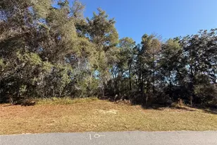 Southwest 43 Ave, Ocala, FL 34473 - Photo 5