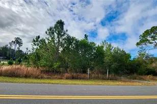 31444 State Road 44, Eustis, FL 32736 - Photo 1