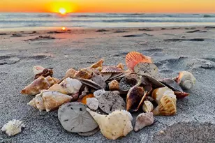 500 The Esplanade N, Venice, FL 34285 - Photo 39