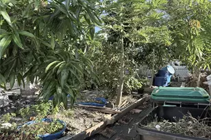 6313 Willow Oak Ln, Orlando, FL 32809 - Photo 49