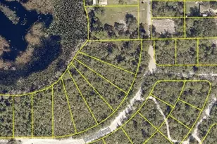 W Pkwy, Deland, FL 32724 - Photo 1