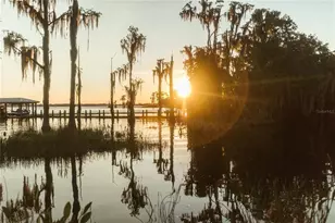 713 Main St, Windermere, FL 34786 - Photo 71