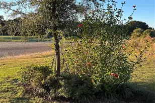 7661 Sand Pierre Ct, Kissimmee, FL 34747 - Photo 55