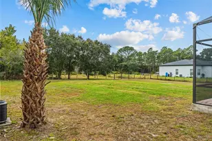 20744 Sheldon St, Orlando, FL 32833 - Photo 41