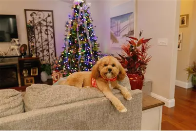 537 Woodlawn Cemetery Road, Gotha, FL 34734 - Photo 19