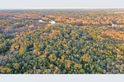 [Address not provided], Inverness, FL 34450 - Photo 5