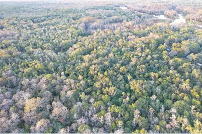 [Address not provided], Inverness, FL 34450 - Photo 19