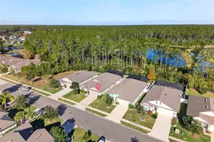 138 S Hummingbird Pl, Palm Coast, FL 32164 - Photo 39