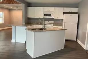 1219 Snowberger Ave, Leesburg, FL 34748 - Photo 5