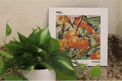 751 Lasso Drive, Kissimmee, FL 34747 - Photo 77